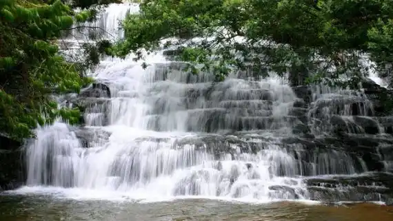 Adventure Jeep Safari
