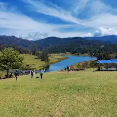 Mountain View Jeep Safari