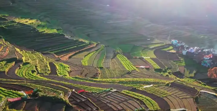 Kodaikanal Trekking Tour